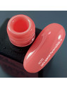 "Lakier hybrydowy NOTD – Let's Special Pantone 2024/4 w kolorze brzoskwiniowo-różowym."
